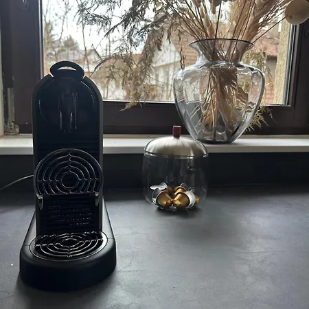 Apartmán Deluxe Family Mit Terrasse, Kueche & Parkplatz Offenburg