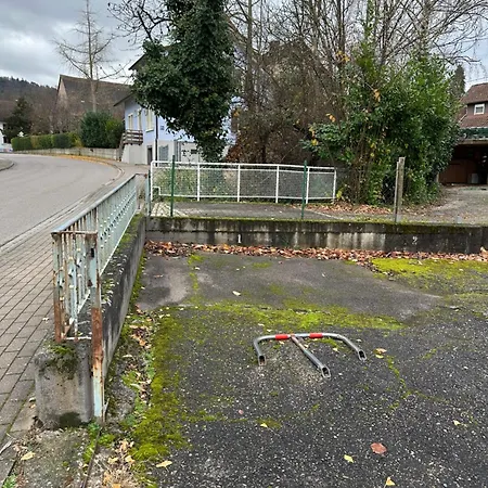 Deluxe Family Mit Terrasse, Kueche & Parkplatz Offenburg
